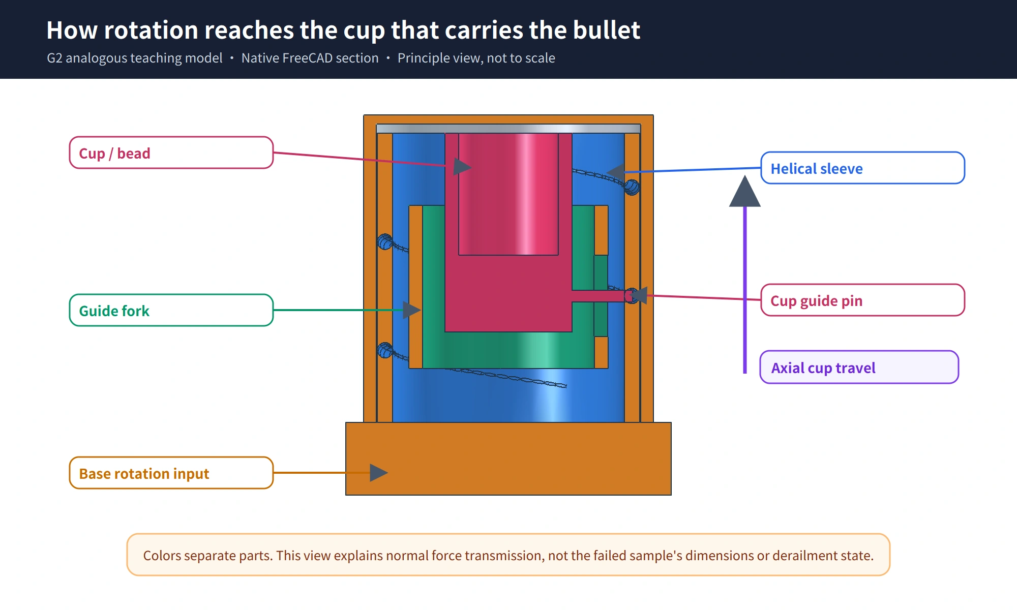 Sectioned teaching model showing force transmission through the cup, fork, helical groove, and guide lugs