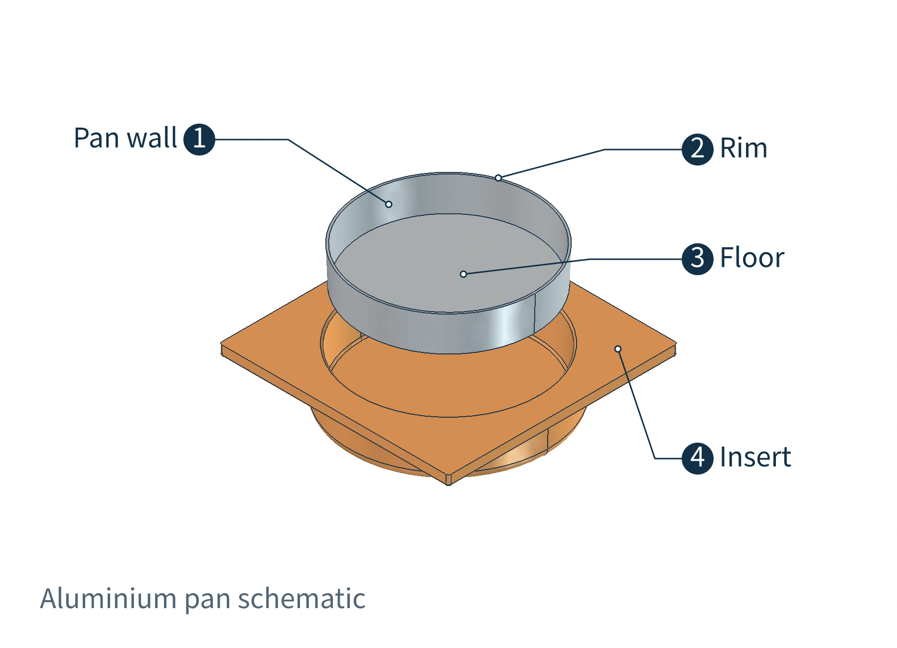 The rim, wall, and base of an aluminum pan and its position within the insert